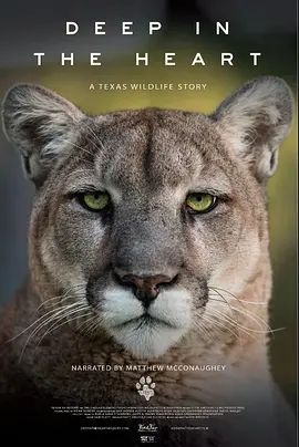 Deep in the Heart: A Texas Wildlife Story  2022