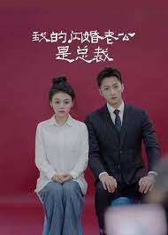 闪婚老公是总裁